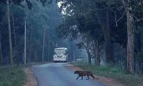 നാഗർഹോള കടുവസ​​ങ്കേതം വഴി പോകുന്ന വാഹനങ്ങൾക്ക്​ പ്ര​വേശന ഫീസ്​
