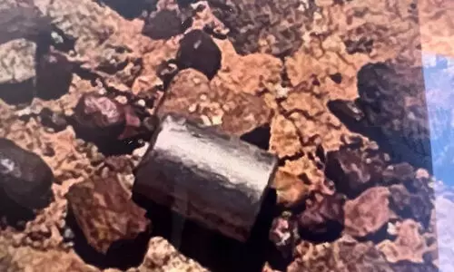 ഒടുവിൽ ആ ‘ഗുളിക’ കണ്ടെത്തി; ഭീതിയൊഴിഞ്ഞു