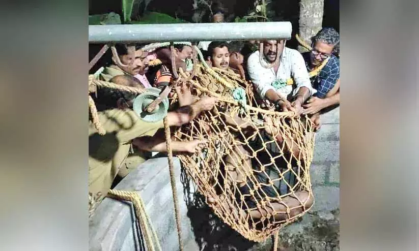 കിണറ്റിൽ അകപ്പെട്ട ഝാർഖണ്ഡ് സ്വദേശിയെ രക്ഷിച്ചു കിണറ്റിൽ അകപ്പെട്ട ഝാർഖണ്ഡ് സ്വദേശിയെ രക്ഷിച്ചു
