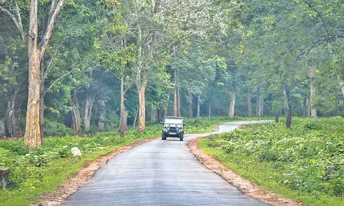 നാഗർഹോളയിലൂടെ പോകുന്ന അന്തർ സംസ്ഥാന വാഹനങ്ങൾക്ക്​ ​​​പ്രവേശനഫീസ്​