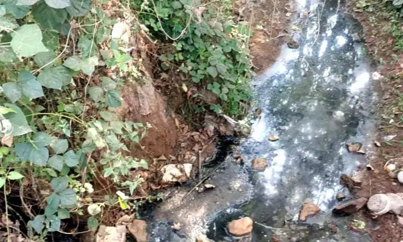ഓടയിലെ മലിനജലം പാമ്പുറം തോട്ടിലേക്ക്; തടയാൻ നടപടിയില്ല