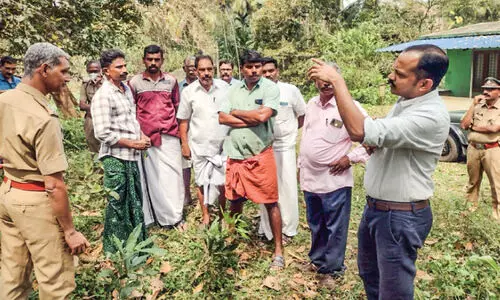 കാട്ടാനക്കൂട്ടം ഇറങ്ങിയ പ്രദേശം ഡി.എഫ്.ഒ സന്ദർശിച്ചു
