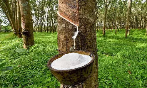 rubber Subsidy, Kerala budget 2023