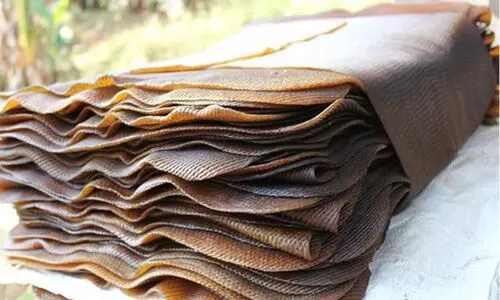 റബറിൽ തെന്നി മാണി ഗ്രൂപ്