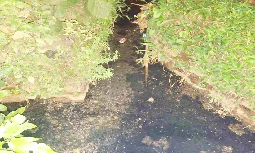 പുത്തൂർമഠത്ത് മാലിന്യം തോട്ടിലേക്ക്; നടപടിയെടുക്കാതെ അധികൃതർ പുത്തൂർമഠത്ത് മാലിന്യം തോട്ടിലേക്ക്; നടപടിയെടുക്കാതെ അധികൃതർ