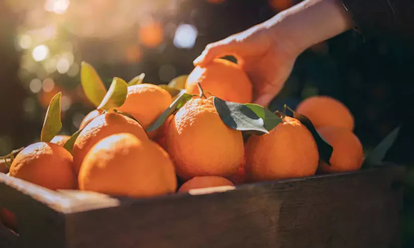 ഓറഞ്ച് ഇഷ്ടപ്പെടുന്നയാളാണോ നിങ്ങൾ? തീർച്ചയായും ഈ വ്യത്യസ്ത രീതികൾ പരീക്ഷിക്കണം