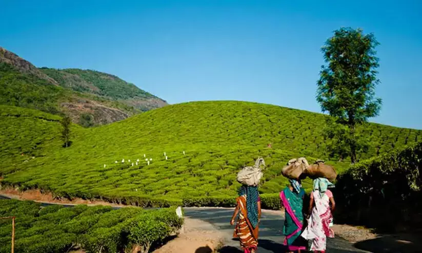 നിർമാണം: ആനവിലാസം വില്ലേജിനെ എൻ.ഒ.സിയിൽ നിന്ന് ഒഴിവാക്കി