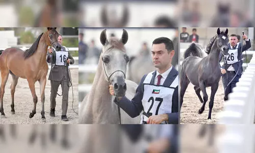 അ​ഴ​കും ക​രു​ത്തും പ്ര​ദ​ർ​ശി​പ്പി​ച്ച് കു​തി​ര​ക​ൾ