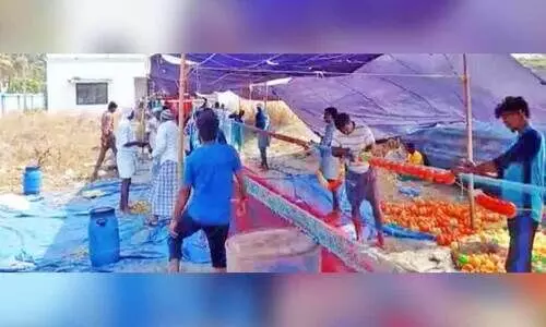 പോർട്ട് ഓഫിസ് മതിൽകെട്ടി വേർതിരിക്കുന്നു; മത്സ്യത്തൊഴിലാളികളെ കുടിയിറക്കാൻ നീക്കം