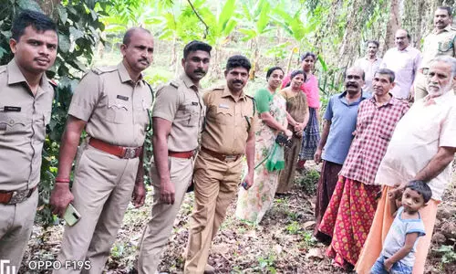 വളകൊടികാവിൽ കണ്ടത് കാട്ടുപൂച്ച