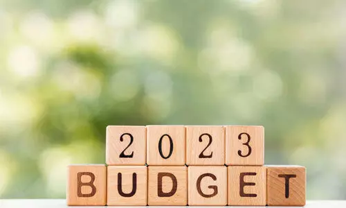 ബജറ്റ്:​ പ്രവാസ ലോകത്ത്​ സമ്മിശ്ര പ്രതികരണം