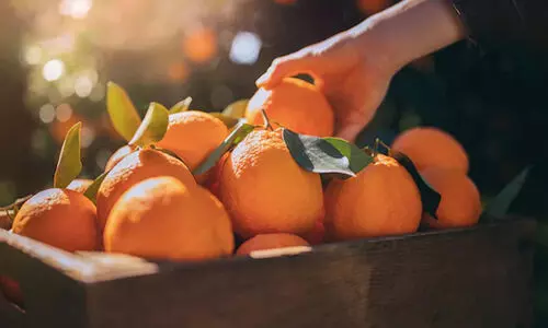 ഓറഞ്ച് ഇഷ്ടപ്പെടുന്നയാളാണോ നിങ്ങൾ? തീർച്ചയായും ഈ വ്യത്യസ്ത രീതികൾ പരീക്ഷിക്കണം