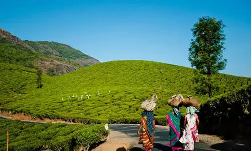 നിർമാണം: ആനവിലാസം വില്ലേജിനെ എൻ.ഒ.സിയിൽ നിന്ന് ഒഴിവാക്കി