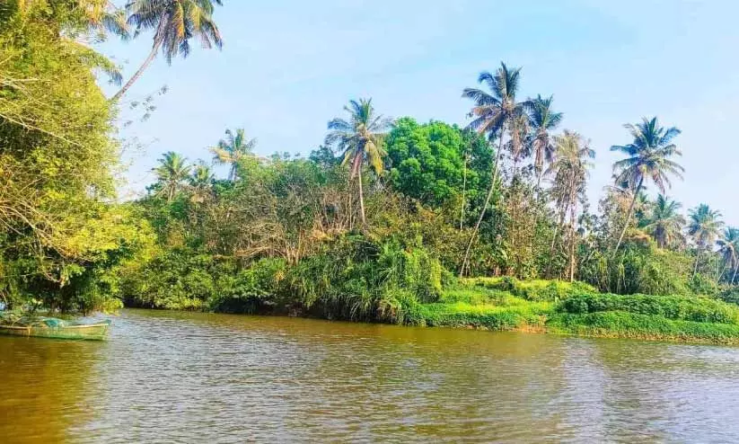 ഈ കരകളിലുണ്ട്; ഉപ്പുവെള്ളം പ്രതിസന്ധിയിലാക്കിയ ജീവിതങ്ങൾ ഈ കരകളിലുണ്ട്; ഉപ്പുവെള്ളം പ്രതിസന്ധിയിലാക്കിയ ജീവിതങ്ങൾ