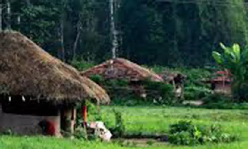 ആദിവാസികൾക്ക് അനുവദിച്ച 10 ലക്ഷം മൃഗസംരക്ഷണ വകുപ്പ് ചെലവഴിച്ചില്ലെന്ന് റിപ്പോർട്ട്