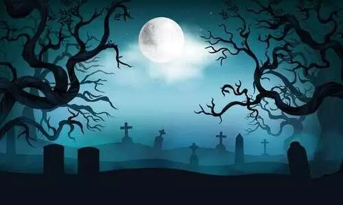 ഡ്രാ​​ക്കു​​ള​പ്പ​ള്ളി​യി​ൽ