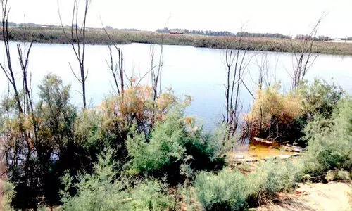 വ​ഫ്റ കാ​ര്‍ഷി​ക മേ​ഖ​ല​യി​ലെ അ​ന​ധി​കൃ​ത വെ​ള്ള​ക്കെ​ട്ട്; വി​ദ​ഗ്ധ സ​മി​തി രൂ​പ​വ​ത്ക​രി​ച്ചു