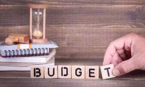 കേരള ബജറ്റ്: ആശയും നിരാശയും