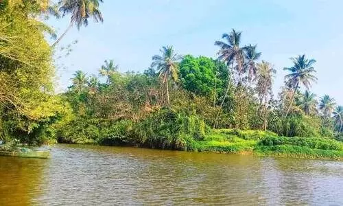 ഈ കരകളിലുണ്ട്; ഉപ്പുവെള്ളം പ്രതിസന്ധിയിലാക്കിയ ജീവിതങ്ങൾ