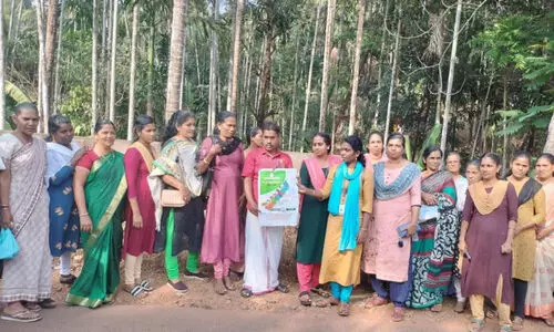 Kudumbashree organic agriculture gardens