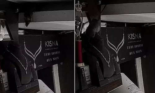 rat stealing necklace