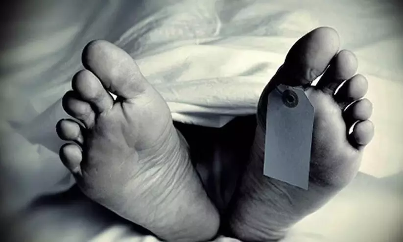 ഓടുന്ന ബസിൽനിന്ന് വീണ മലയാളി വിദ്യാർഥി ചക്രത്തിനടിയിൽപെട്ട് മരിച്ചു