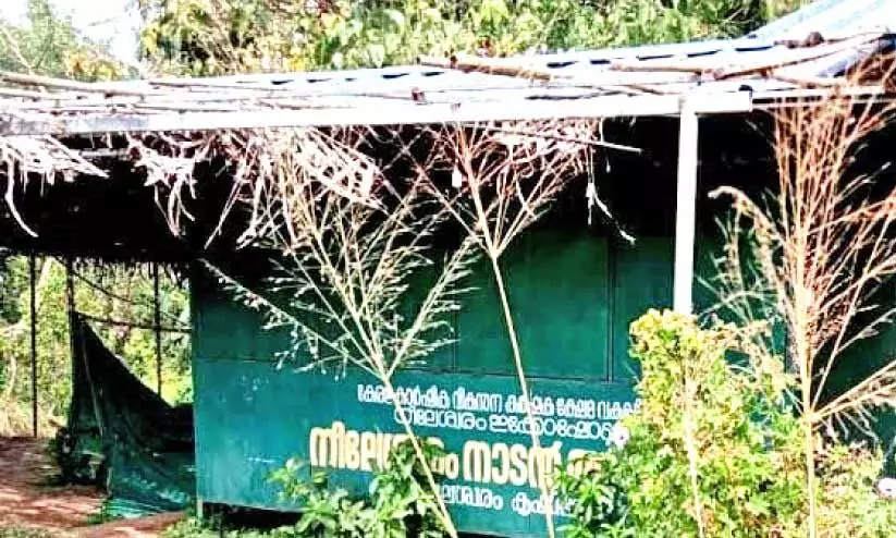 കൃഷിവകുപ്പിന്‍റെ നാടൻ അരിക്കട കാടുമൂടി