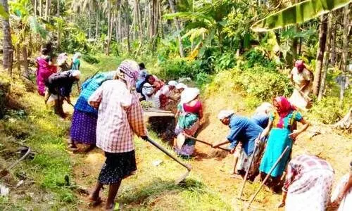 employment guarantee