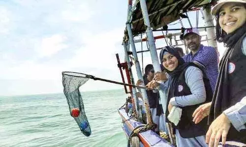 തിമിംഗല സ്രാവുകളുടെ സംരക്ഷണം; കടൽ ശുചീകരണവുമായി വിദ്യാർഥികൾ