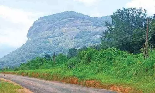 ഗ്രീൻഫീൽഡ് പാത; ഫീൽഡ് സർവേ പൂർത്തിയായില്ല