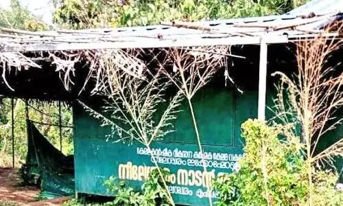 കൃഷിവകുപ്പിന്‍റെ നാടൻ അരിക്കട കാടുമൂടി