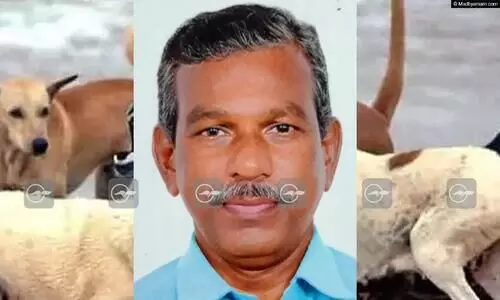 130ഓളം തെരുവുനായ്ക്കളെ കൊന്ന കേസിൽ ഓട്ടോഡ്രൈവറെ വെറുതെവിട്ടു 130ഓളം തെരുവുനായ്ക്കളെ കൊന്ന കേസിൽ ഓട്ടോഡ്രൈവറെ വെറുതെവിട്ടു