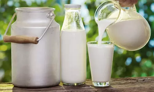 India Ranks 1st, Contributes 24% Of Global Milk Production