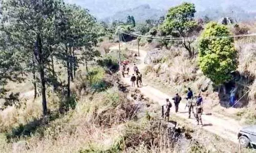 കാട്ടാനകളെ നിരീക്ഷിക്കാൻ ഇടുക്കിയിൽ സംയുക്ത പരിശോധന തുടങ്ങി
