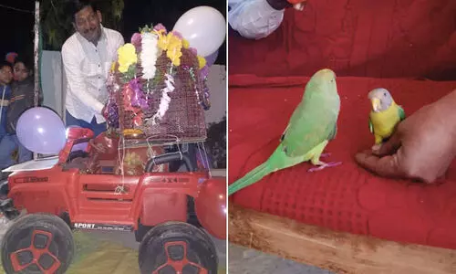 ജാതകം നോക്കി മുഹൂർത്തം കുറിച്ചു, തത്തക്കും മൈനക്കും കല്യാണം