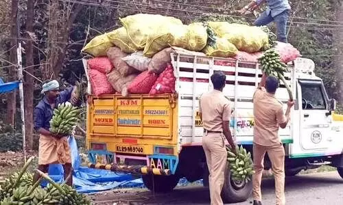 കഞ്ചാവ് ഉണ്ടെന്ന വ്യാജ സന്ദേശം: പച്ചക്കറി ഇറക്കിക്കയറ്റി എക്സൈസ് സംഘം