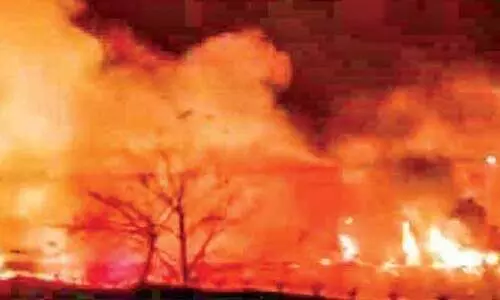 കാഞ്ഞിരപ്പുഴ ഡാമിൽ പുൽക്കാട് കത്തിനശിച്ചു