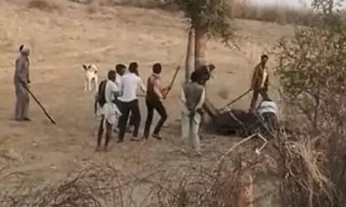 ഉടമയുടെ തല കടിച്ചെടുത്തു ഒട്ടകം; കെട്ടിയിട്ട് തല്ലിക്കൊന്ന് നാട്ടുകാർ