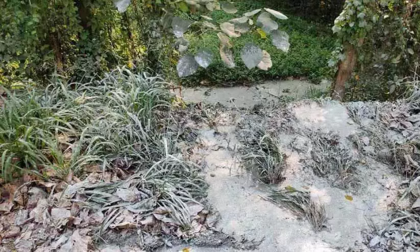 സം​സ്ഥാ​ന പാ​ത​യോ​ര​ത്ത് വീ​ണ്ടും ക​ക്കൂ​സ് മാ​ലി​ന്യം ത​ള്ളി