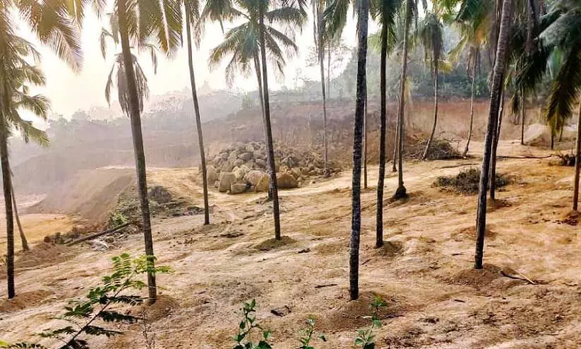 ചോദിക്കാൻ ആരുണ്ട്? ചെടേക്കാലിൽ കുന്നിടിച്ച് നെൽപാടങ്ങൾ നികത്തി