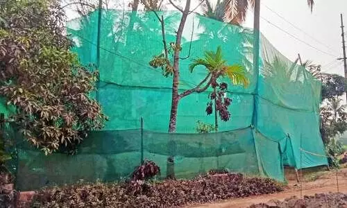 അ​സു​ഖ​ബാ​ധി​ത​ർ വ​ർ​ധി​ക്കു​ന്നു, വീ​ടു​ക​ളും നാ​ശ​മാ​യി: പൊ​ടി പ​റ​ത്തി ബൈ​പാ​സ് നി​ർ​മാ​ണം