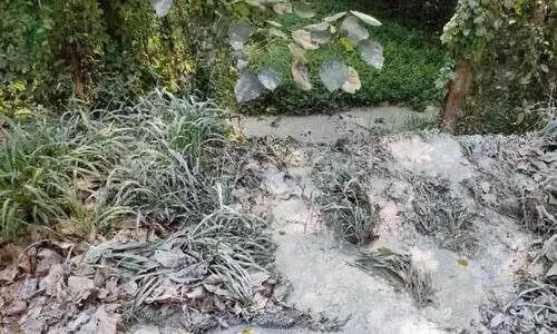 സം​സ്ഥാ​ന പാ​ത​യോ​ര​ത്ത് വീ​ണ്ടും ക​ക്കൂ​സ് മാ​ലി​ന്യം ത​ള്ളി