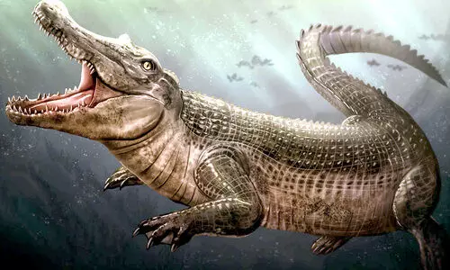 കാണാതായ ആസ്ട്രേലിയൻ പൗരന്റെ ശരീരഭാഗങ്ങൾ മുതലകളുടെ വയറ്റിൽ