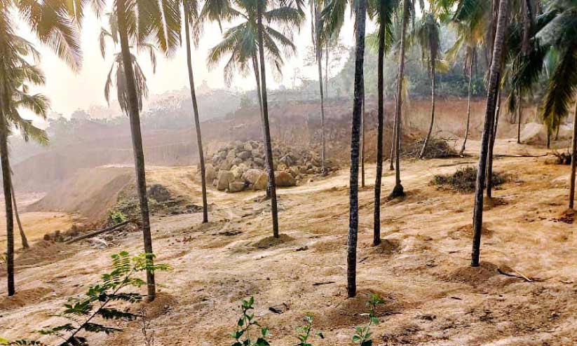 ചോദിക്കാൻ ആരുണ്ട്? ചെടേക്കാലിൽ കുന്നിടിച്ച് നെൽപാടങ്ങൾ നികത്തി