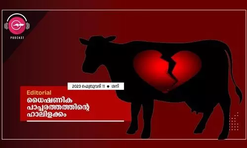 ധൈഷണിക പാപ്പരത്തത്തിന്റെ ഹാലിളക്കം