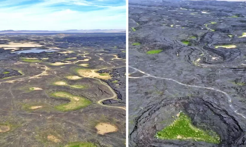അ​ഗ്​​നി​പ​ർ​വ​ത​ ലാ​വ പ്ര​വാ​ഹ​ത്തെ​യും പ​ച്ച​പ്പ​ണി​യി​ച്ച്​ മ​ഴ