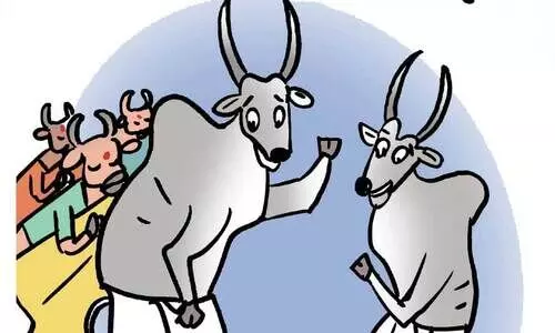 ജയ് മോദിജി