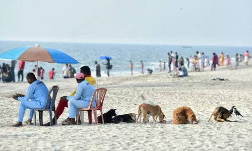 ആലപ്പുഴയിൽ നായ്​ക്കളുടെ വാക്​സിനേഷൻ നിലച്ചു; എ.ബി.സി പദ്ധതിയുമില്ല