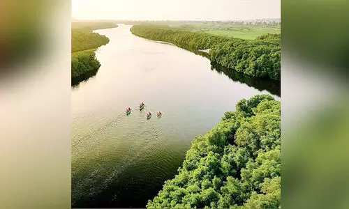 അ​ജ്മാ​നി​ലെ ത​ണ്ണീ​ര്‍ ത​ട​ങ്ങ​ള്‍