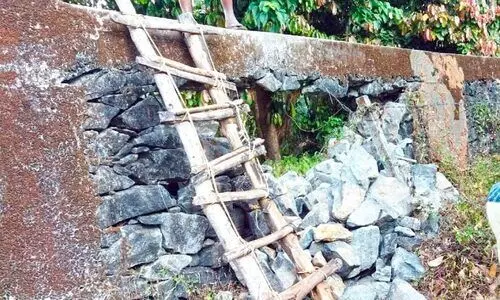 ആനമതിൽ തകർത്ത് കാട്ടാന കൃഷിയിടത്തിൽ ആനമതിൽ തകർത്ത് കാട്ടാന കൃഷിയിടത്തിൽ